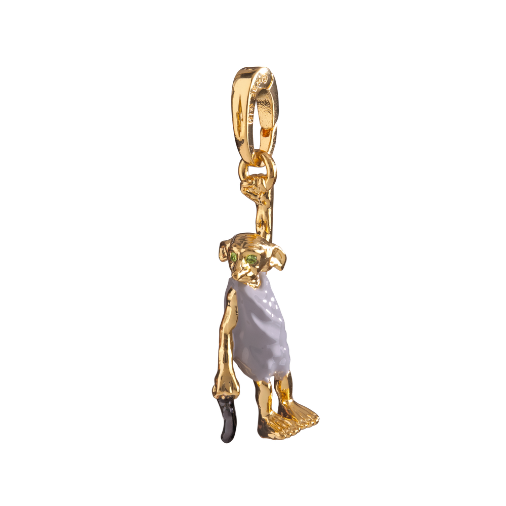 Lumos Charm #6 Dobby