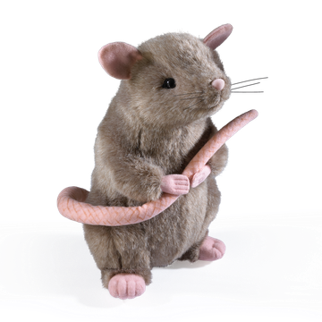 Scabbers Plush