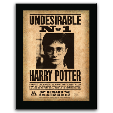 Harry Potter Undesirable Plaque